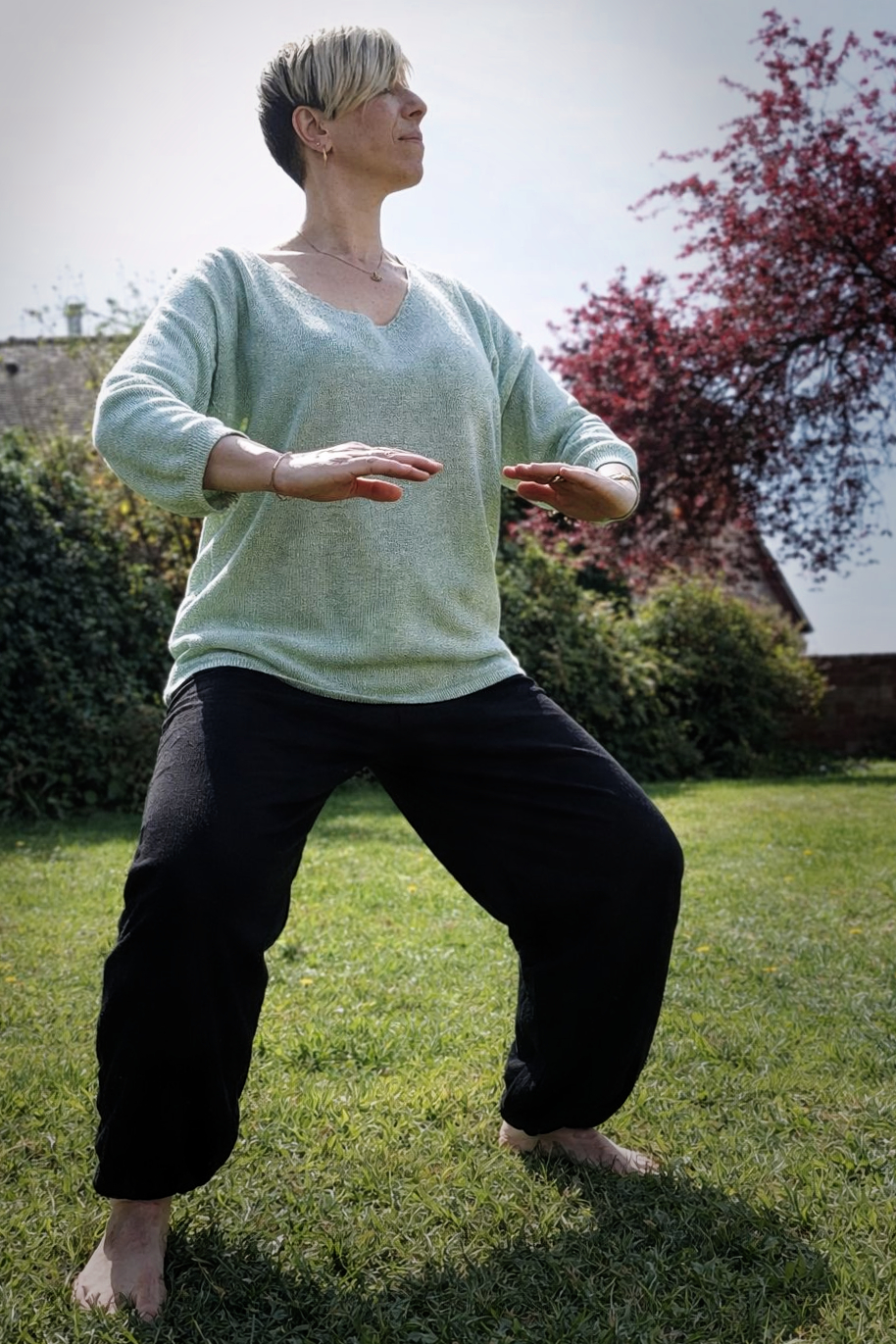 Qi Gong - Pratique énergétique en nature
